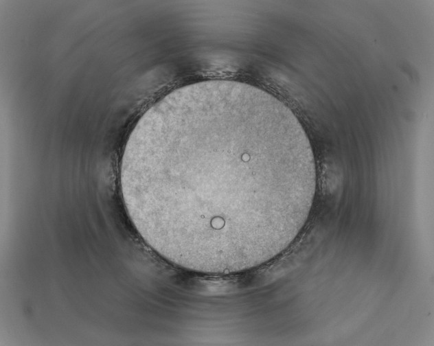 X0000112020370200909141040