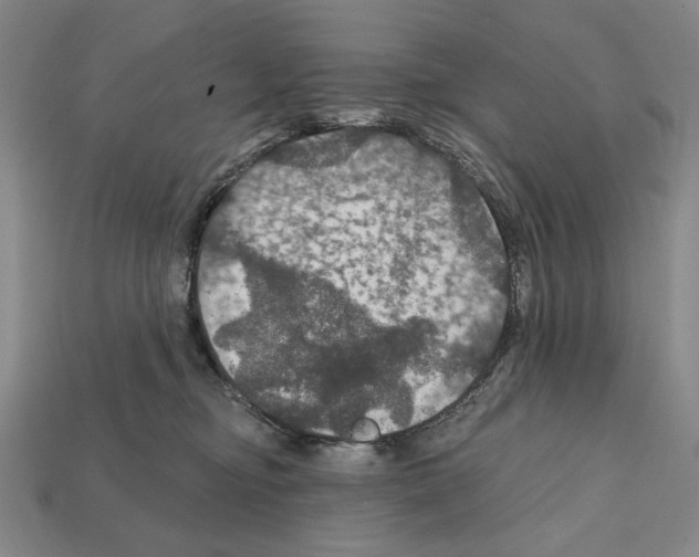 X0000112020374200909141040