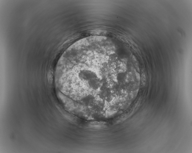 X0000112020375200909141041