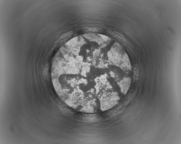 X0000112020377200909141041