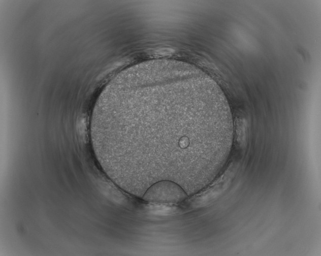 X0000112020378200909141041