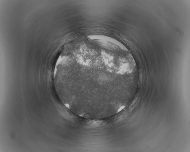 X0000112020379200909141041