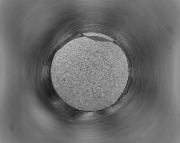 X0000112020382200909141041