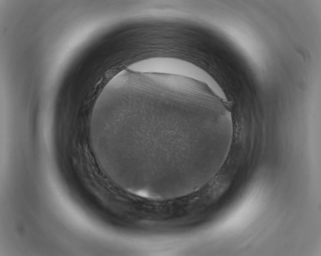 X0000112020383200909141041