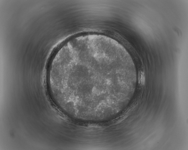 X0000112020388200909141040