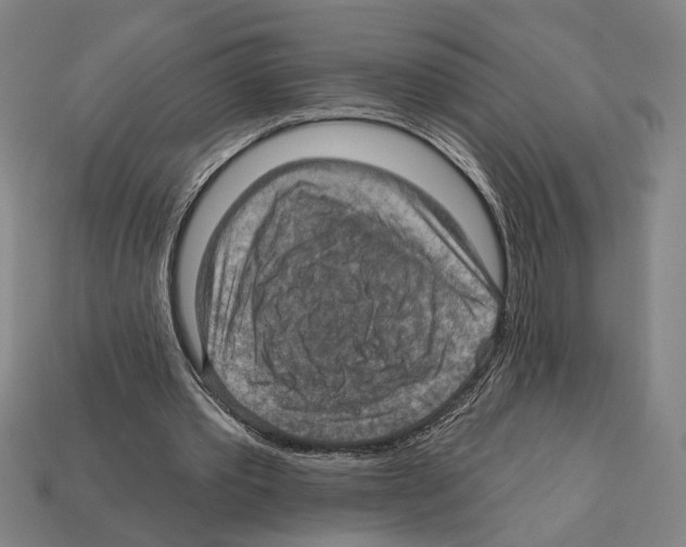 X0000112020389200909141040