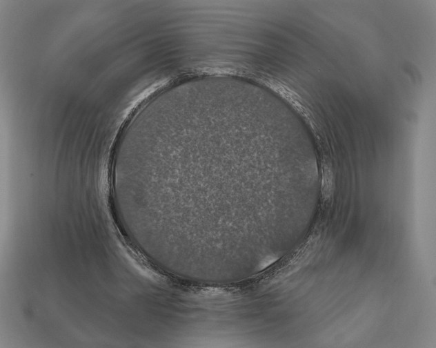 X0000112020390200909141040