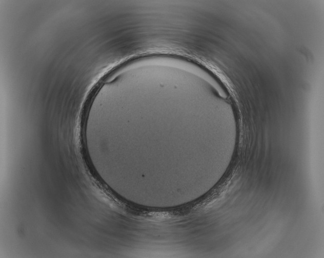 X0000112020391200909141040