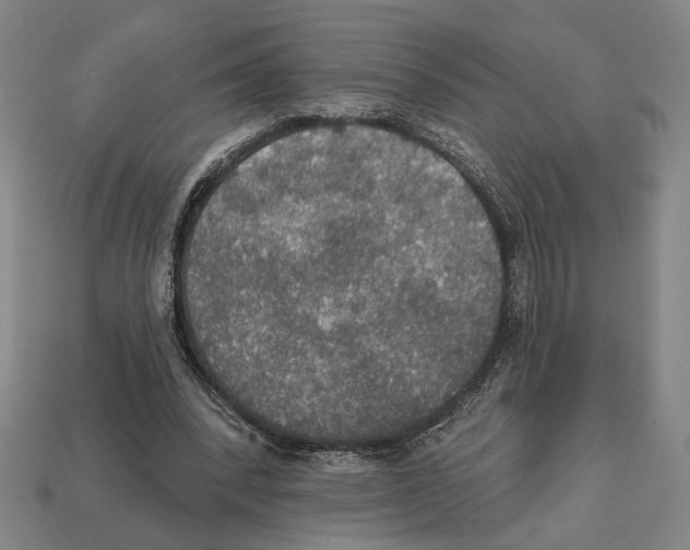 X0000112020392200909141040