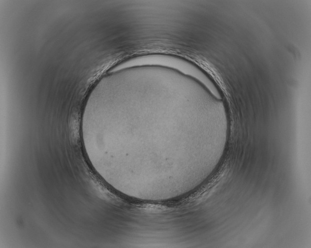 X0000112020393200909141040