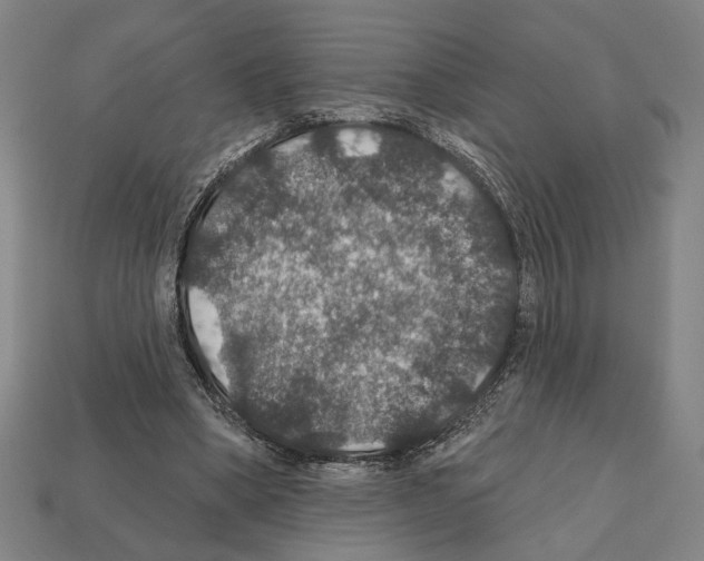 X0000112020394200909141040