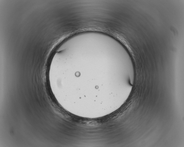 X0000112020395200909141040