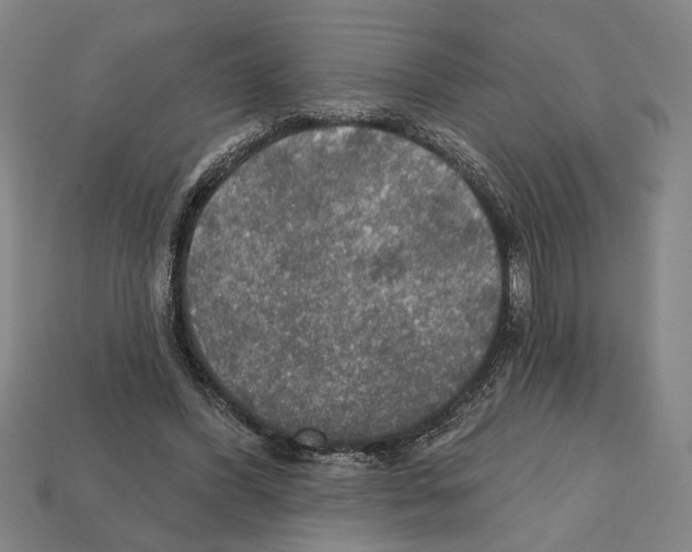 X0000112020396200909141040