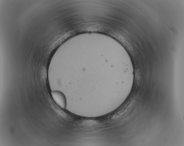 X0000112020397200909141040