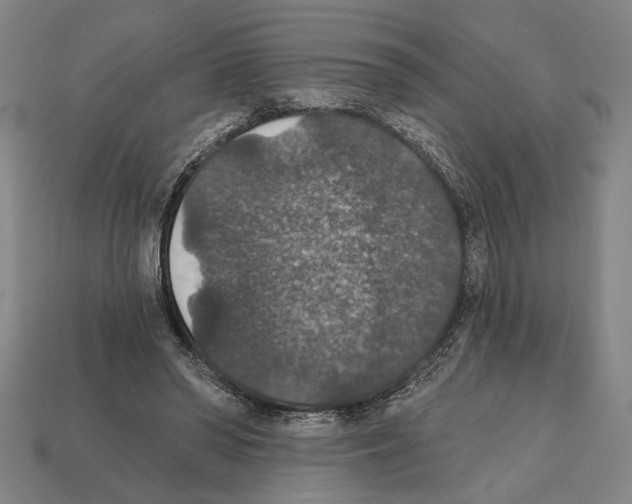 X0000112020398200909141040