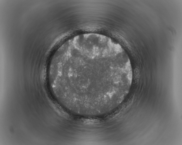 X0000112020400200909141040