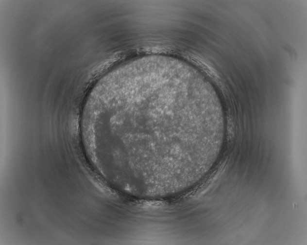 X0000112020401200909141040