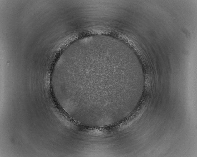 X0000112020402200909141040