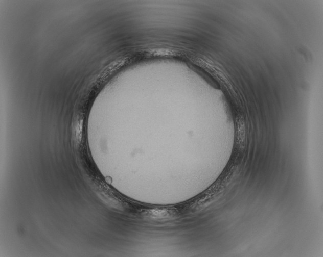 X0000112020406200909141040