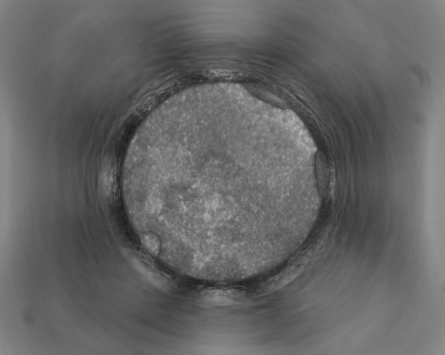 X0000112020408200909141040