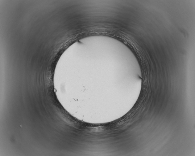 X0000112020411200909141040