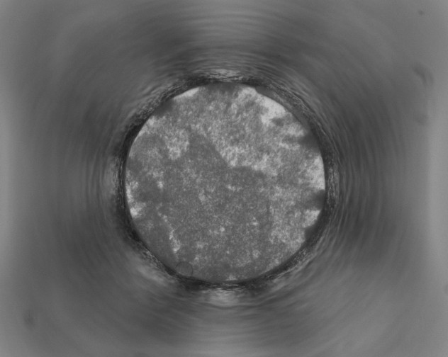 X0000112020412200909141040