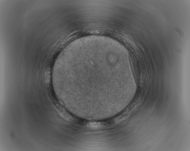 X0000112020413200909141040