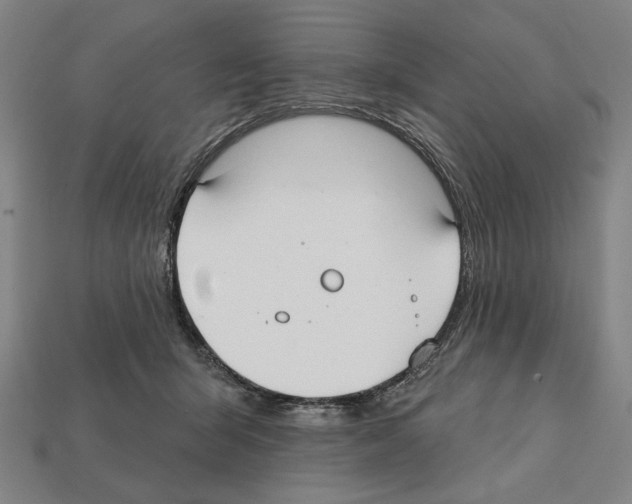 X0000112020415200909141040