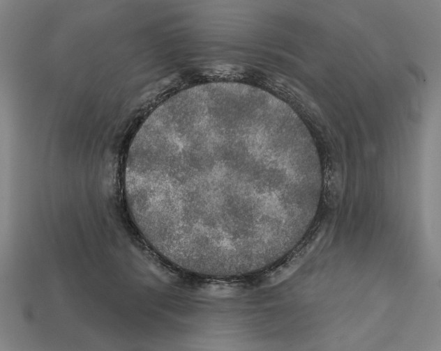 X0000112020416200909141040