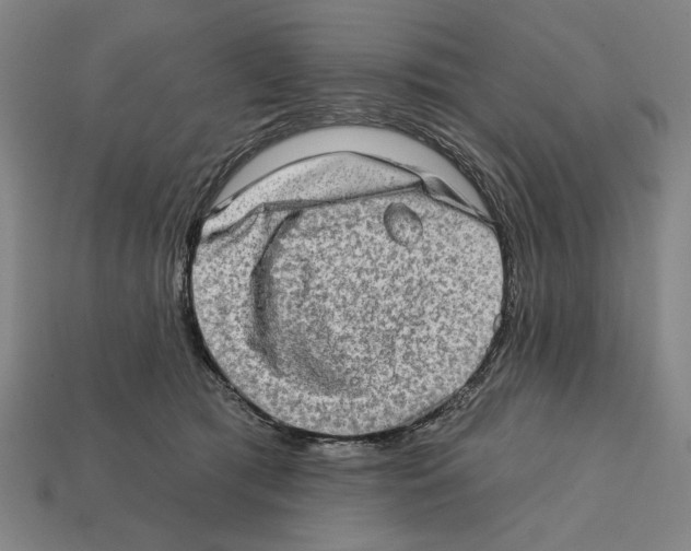 X0000112020417200909141040