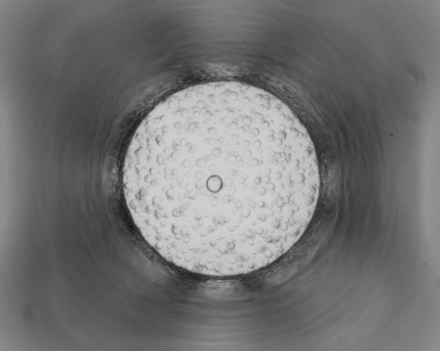 X0000112020418200909141040