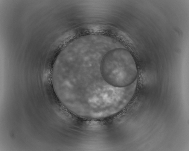 X0000112020419200909141040