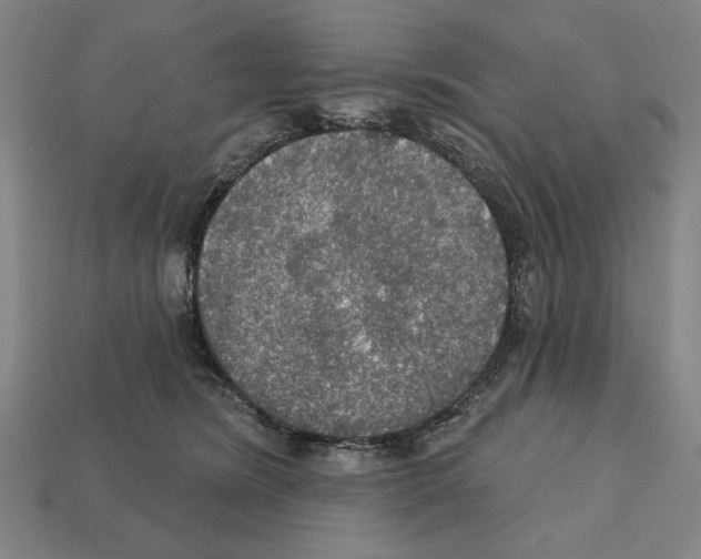 X0000112020420200909141040