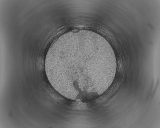 X0000112020421200909141040