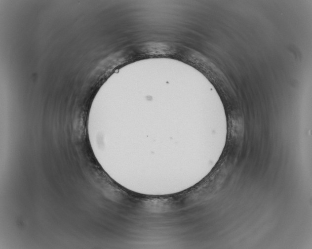 X0000112020422200909141040