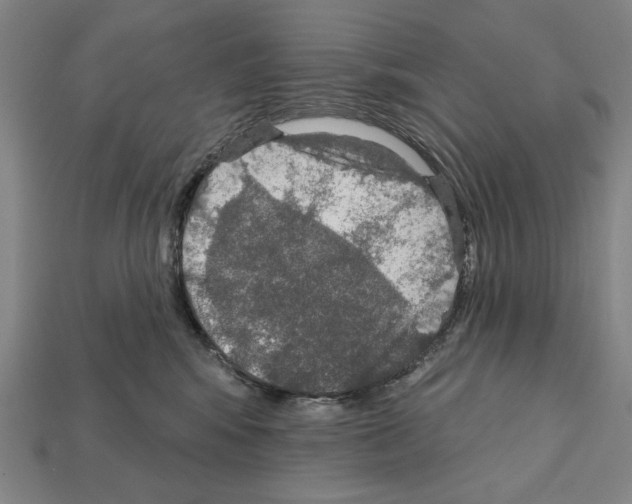 X0000112020424200909141040