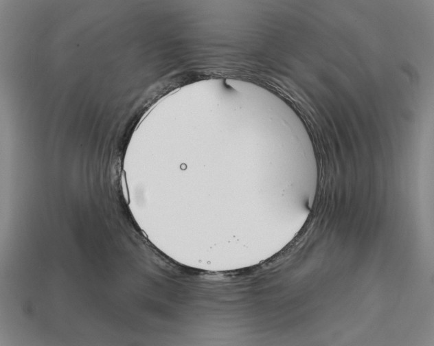 X0000112020425200909141039