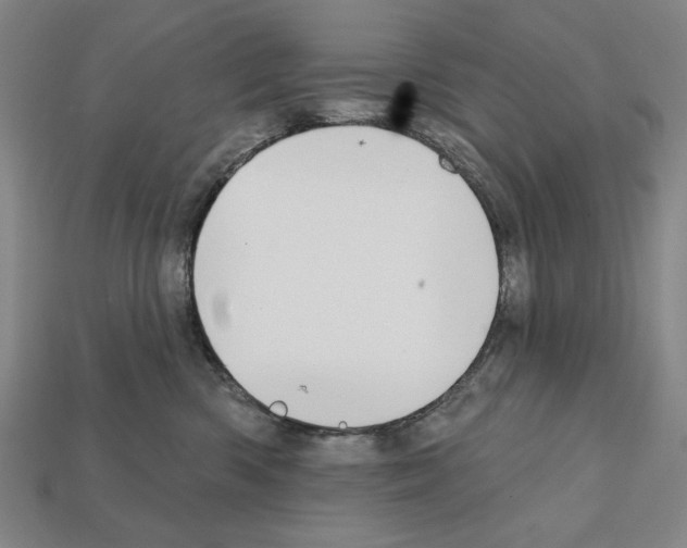 X0000112020426200909141039