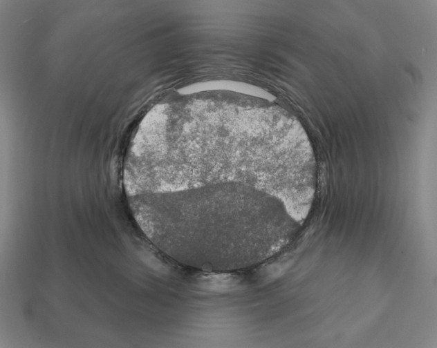 X0000112020428200909141039