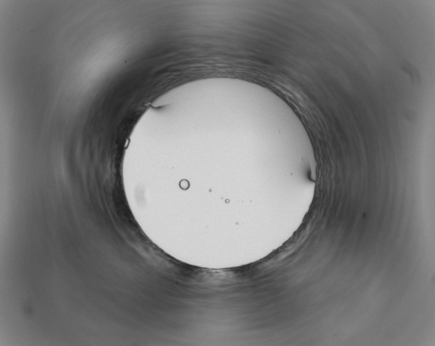 X0000112020429200909141039