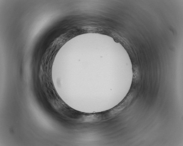 X0000112020430200909141039