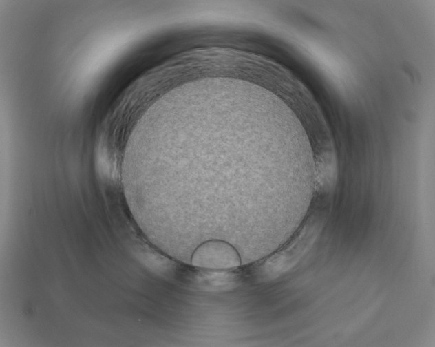 X0000112020431200909141039