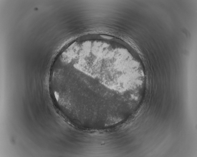 X0000112020434200909141039