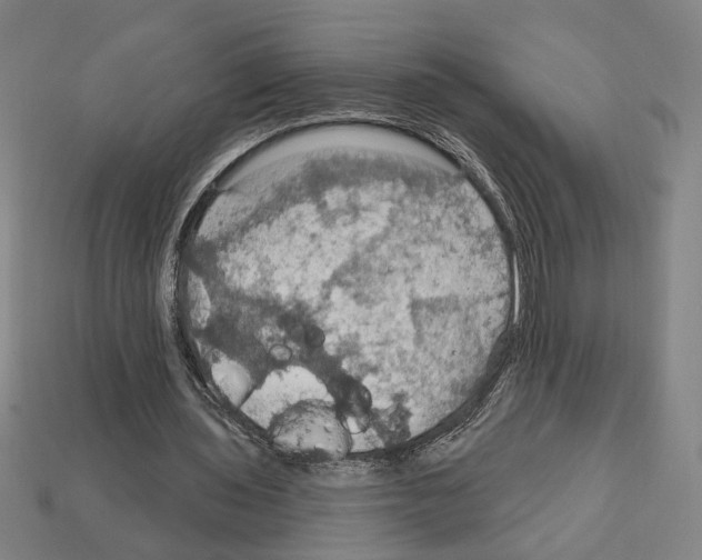 X0000112020435200909141039