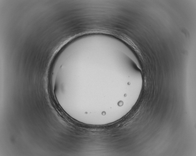 X0000112020436200909141039