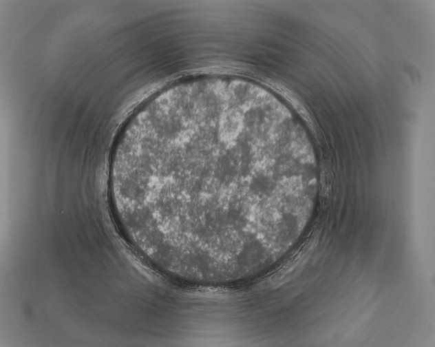 X0000112020437200909141039