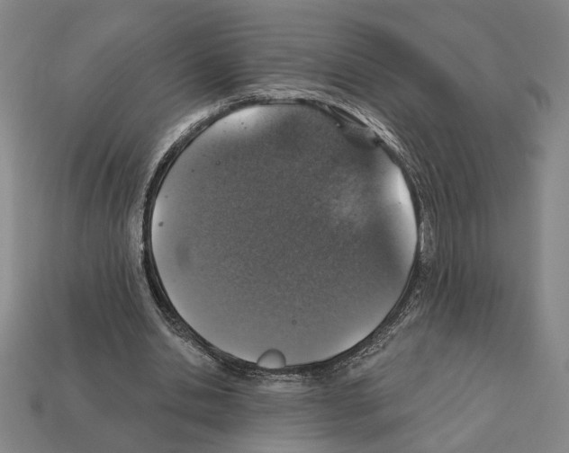 X0000112020438200909141039