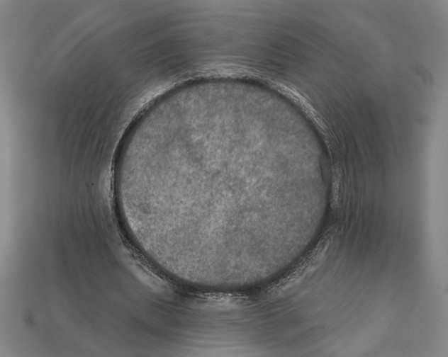 X0000112020439200909141039