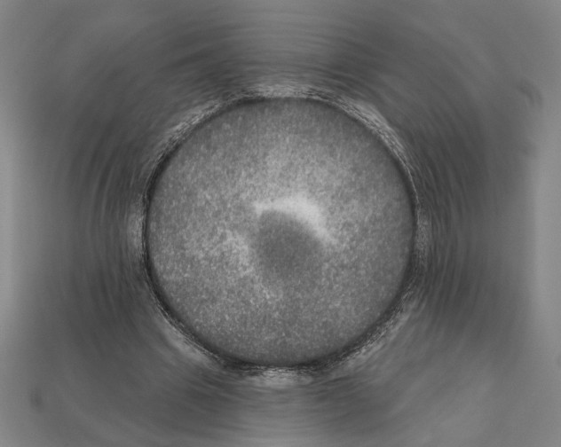 X0000112020441200909141039