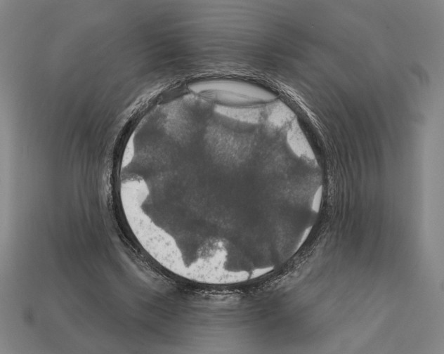 X0000112020443200909141039